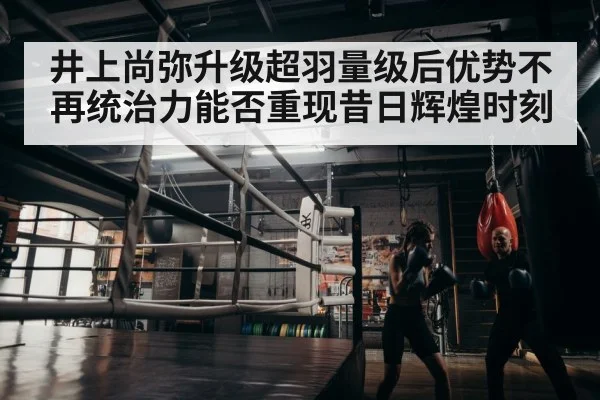 boxer training
